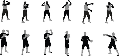 Fototapeta premium Boxer character poses scalable graphic for animation and game design