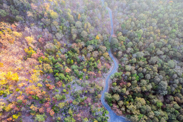 Scenic topdown shot of a deciduous forest changing leaves at the height of autumn. Picturesque flying view of the vibrant