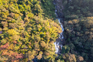 Scenic topdown shot of a deciduous forest changing leaves at the height of autumn. Picturesque flying view of the vibrant