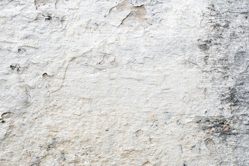 Light Gray Stucco Wall Texture. Abstract Background