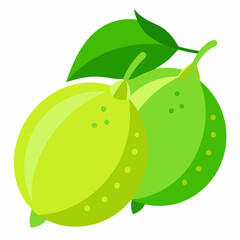 vector illustration of an apple