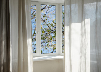 View from the window, blooming  trees, bird cherry blossom in a garden.