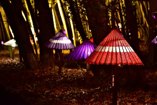 イルミネーション 広島 備北丘陵公園 - Powered by Adobe