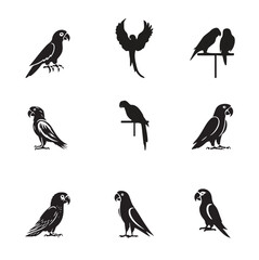 Group parrot vector design