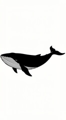 Whale Silhouette on White Background