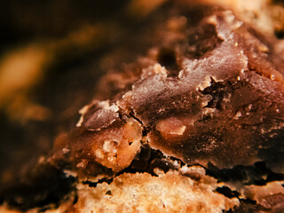 Macro Photograph Chocolate-Chip Cookie