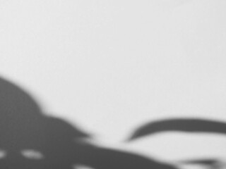 Background shadow white light line wall floor backdrop overlay mockup summer sunight overlay nature on room cement abstract blur muckup effect grey minimal platform for presentation product