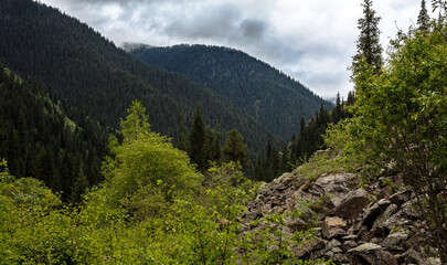 mountain landscape with trees and clouds