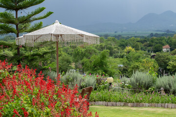 Yard - Grounds, Patio, Back Yard, Ornamental Garden, Formal Garden