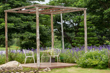 Garden, Yard - Grounds, Patio, Back Yard, Outdoors