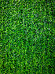 Artificial grass background is usually used as a base for fruit or vegetables.