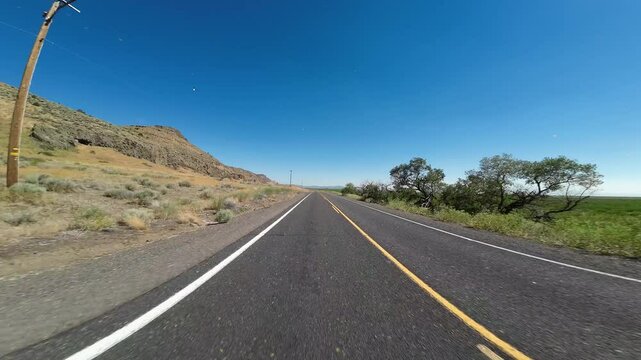 Tule Lake Mormon Crickets Swarm 02 Rear View Driving Plates of Volcanic Legacy Scenic Byway Southbound California USA Ultra Wide