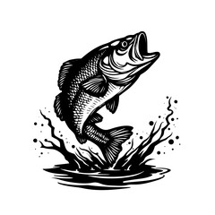 fish vector illustration