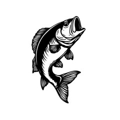 fish vector illustration