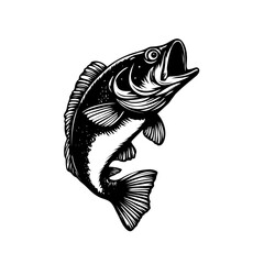 fish vector illustration