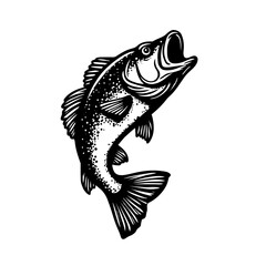 fish vector illustration