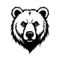 vector illustration of a bear
