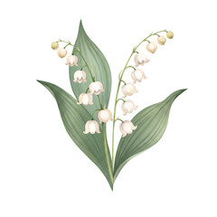 Lily of the valley features small bellshaped white flowers  large leafy green foliage set against a stark black backdrop