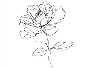 One line drawing of a beautiful flower