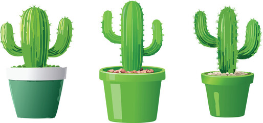 Potted Cactus in Green Ceramic Pot &ndash; Minimal Indoor Plant Decor