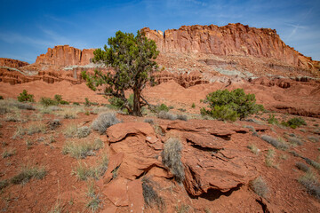 Southwest usa Zion National Park The main part of the park is Zion Canyon surrounded by the walls of the Deertrap, Cathedral and Majestic Mountain mountains. The Virgin River flows through the canyon.