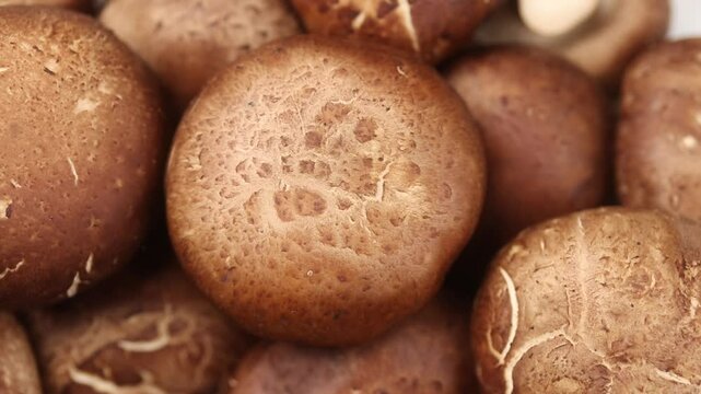 Fresh shiitake mushrooms rotating. Close-up shot	