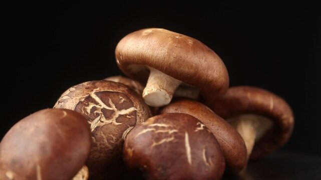 Heap of fresh shiitake mushrooms rotating on black background. 