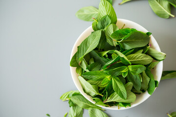 Composition with fresh mint on gray surface from above