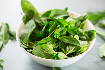 Natural mint in plate close-up from above