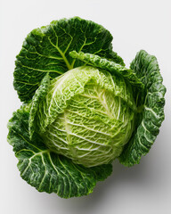 Fototapeta premium A head of cabbage is shown in a close up. The cabbage is green and has a lot of leaves