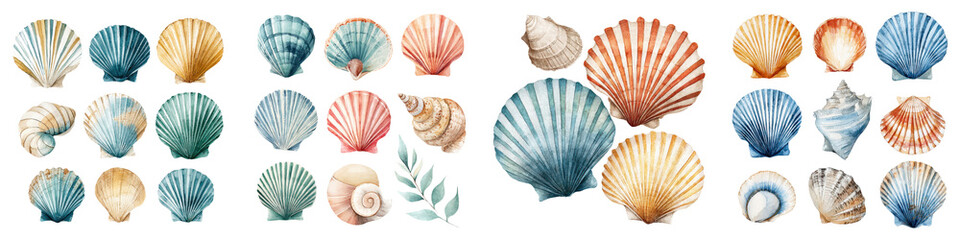 Vibrant, detailed seashell illustrations showcasing various shapes, colors, and textures, ideal for coastal themed design projects, beach decor and ocean-inspired artwork.