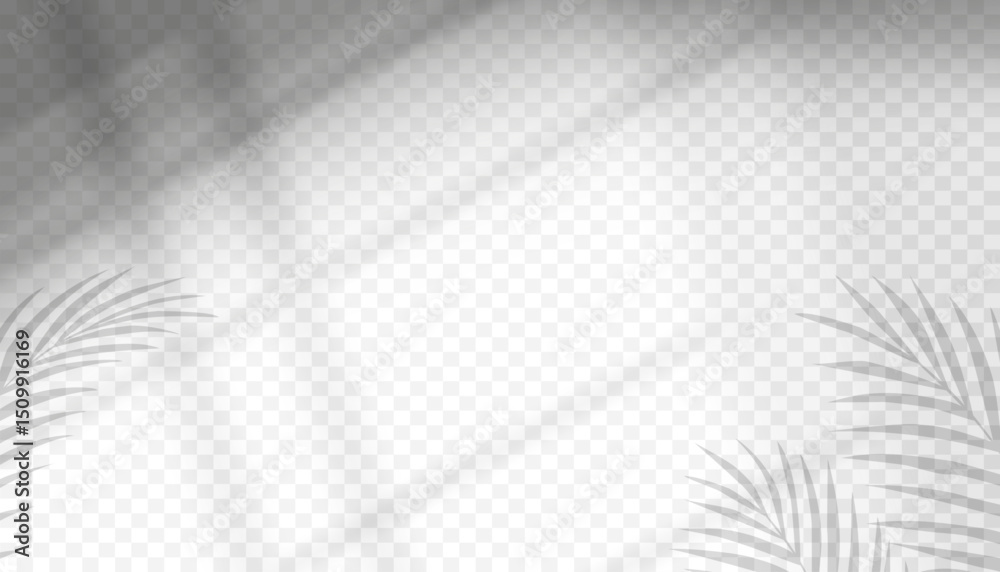 Aufkleber shadow silhouette and soft light on white wall transparent,abstract background blurry window shadow 