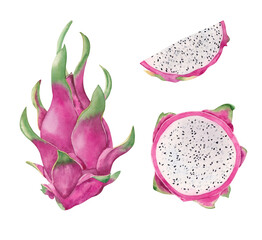 Set of pink dragon fruits elements. Whole fruit, half and pieces. Watercolor hand drawn exotic illustration