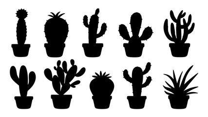Fototapeta premium Cactus in pots silhouette