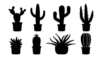 Cactus in pots silhouette