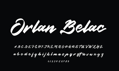 
signature Font Calligraphy Logotype Script Brush Font Type Font lettering handwritten