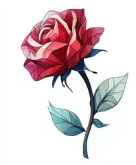 A single red rose with a long stem and leaves on a white bg