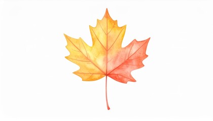 Vibrant green leaf on pristine white background, a study in natural simplicity and beauty