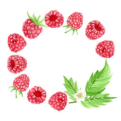 Watercolor raspberry wreath with ripe berries, green leaves, and white flower. hand-painted summer fruit frame on white background. round botanical composition for label, logo, or invitation design