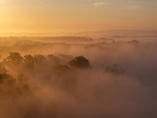 Aerial View of Sunrise and Morning Mist Over a Lowland Forest Landscape