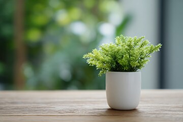 Small Green Plant in White Pot on Wooden Table by Window Tranquil Home Decor