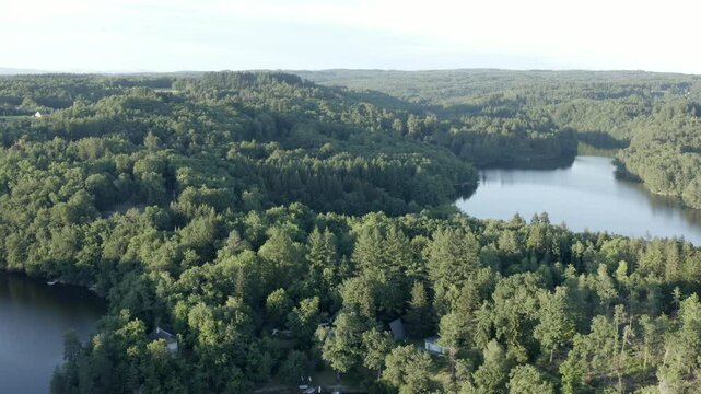 Aerial view over vast forested landscape with winding lake and scattered houses, morning light, Marcillac La Croisille, France
