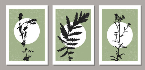 Set of trendy minimalist botanical vector illustration with branch and leaves