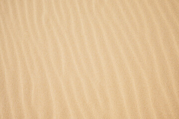 View on the sand dunes. The texture of sand