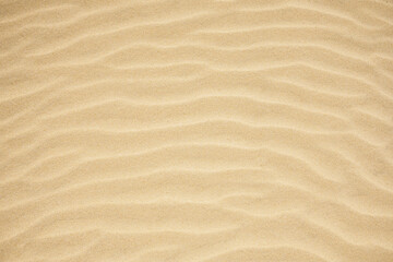 View on the sand dunes. The texture of sand