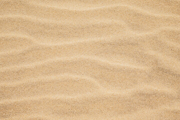 View on the sand dunes. The texture of sand