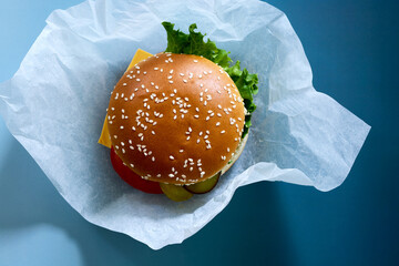 fresh tasty burger