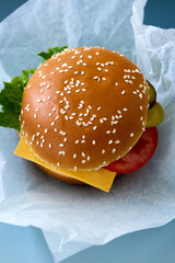 fresh tasty burger