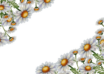 Obraz premium Chamomile flower frame, drawing in watercolor style. Beautiful rectangular floral border with white daisies. Ideal for greeting cards, labels, wedding invitations, banners, and posters