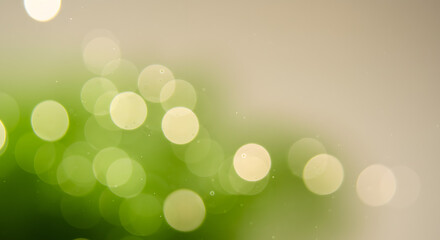 Obraz premium Abstract Green Bokeh Lights Background - Defocused Circle Light Effect with Soft Blur for Festive and Decorative Design Projects